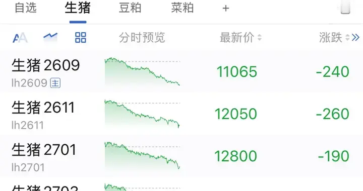 生猪期货单日暴跌240点！11000点告急，8月“政策底”能否守住？