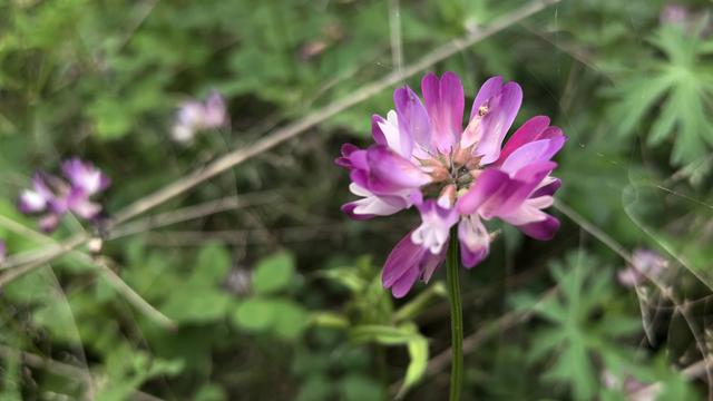 蒋华勤：【热评】私藏淫秽物品就会获刑吗