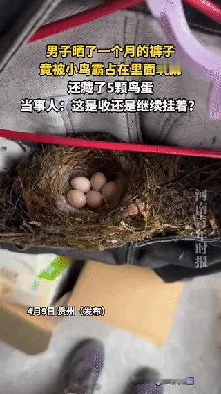 小帅看琺：万万没想到，贵州，一男子发现自