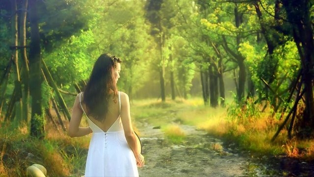 十二星座这辈子都是什么命？