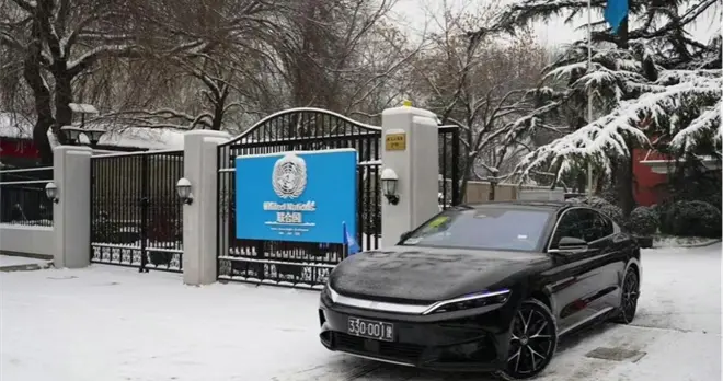 比亚迪在国外也有编制了