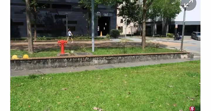 新加坡草坪惨剧：女佣遭连环侵犯，旁观者变恶魔