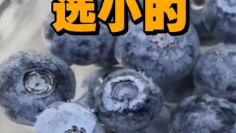 农场世界记录：常见水果挑大还是选小？水果