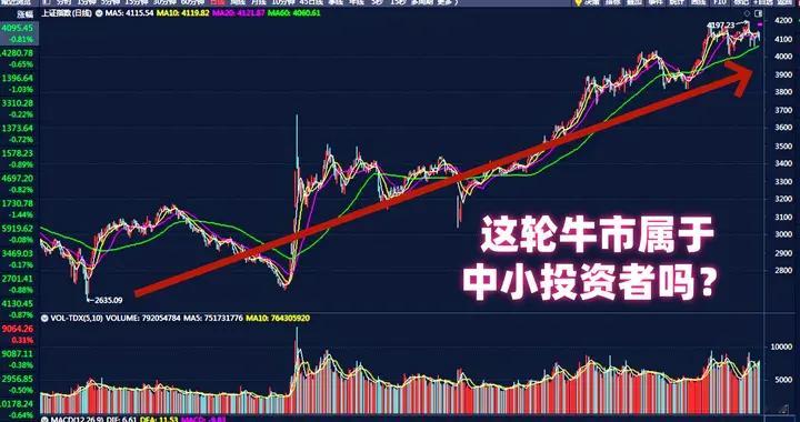 中国股市交易机制到底有利于99%的中小投资者还是1%的机构大户？