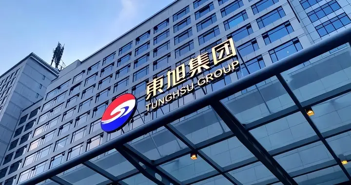 河北东旭集团“造假案”，史上最大最久，亟需审计人才刻不容缓