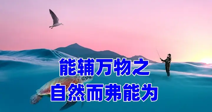 一个“辅”字就足以证明“道法自然”，“法”的是万物之自然