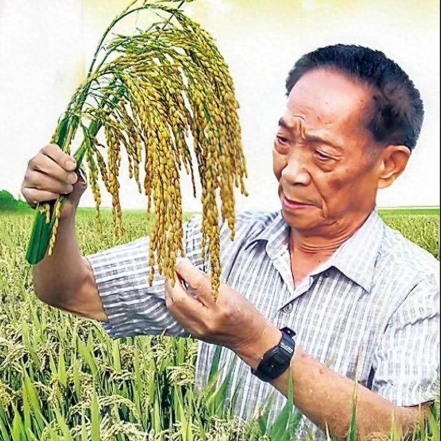 袁隆平：逐梦“稻”路，改写饥饿命运！