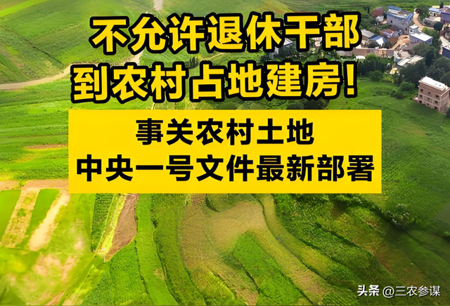退休干部下乡占地建房被禁，3乱象国家亮底线，4途径实现还乡梦