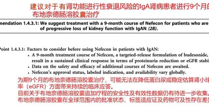 重磅！IgA肾病权威国际指南KDIGO更新，2025版治疗策略升级