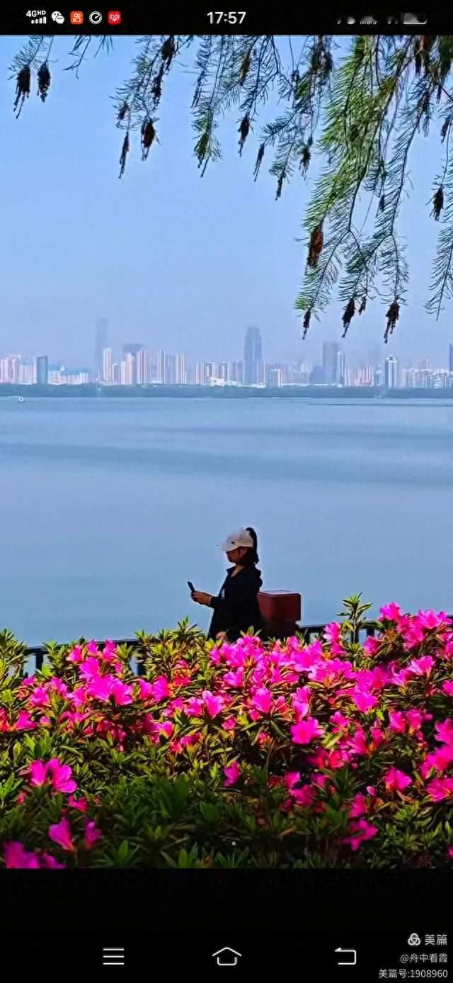 娓娓道来•暮春（五行诗）