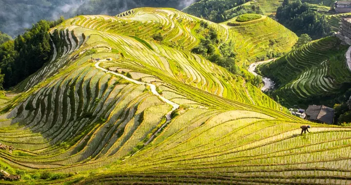 成都商场惊魂一刻！