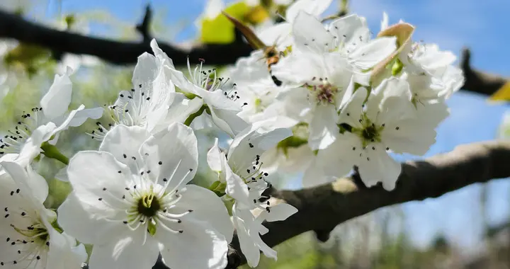 别人向你借钱时，不管借不借，都要先问这3句话，聪明人都懂！