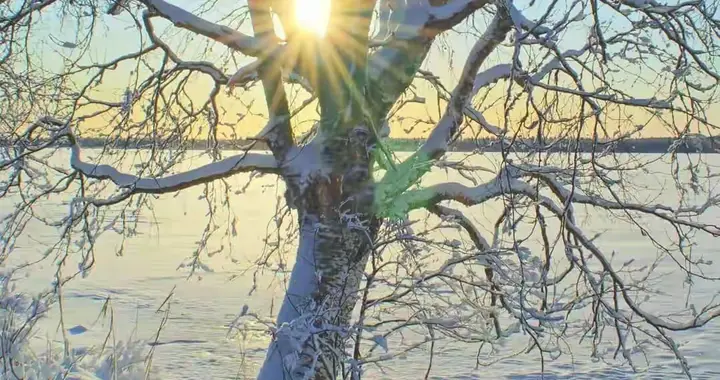 散文‖大西北的冬