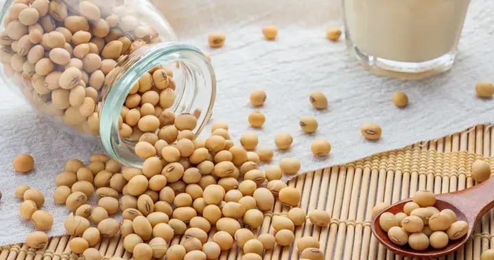 吃豆腐有啥好处？比大豆好在哪？