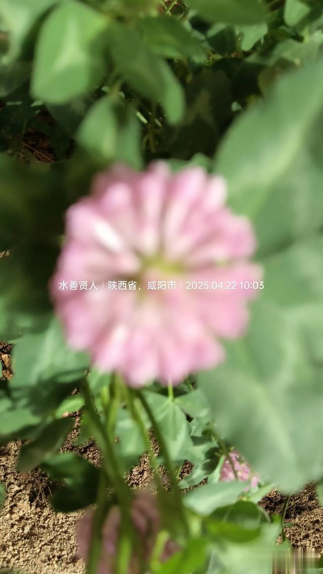 小能耐办大事情