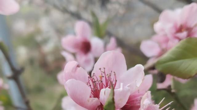 尽心就好188：昨天陪妈妈去医院，本来还