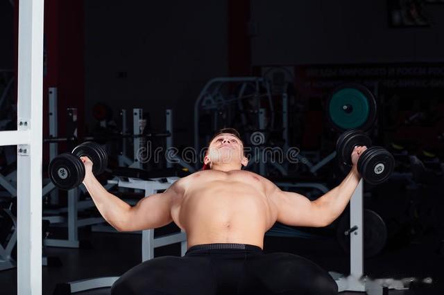 哑铃卧推与飞鸟：塑造饱满胸肌的必练动作