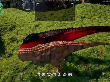 江湖有难，江湖支援！我们期许少爷好样的！