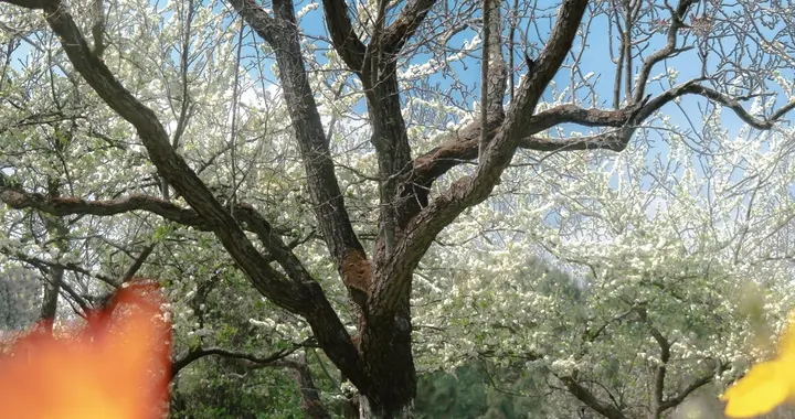 50万变80万又剩12万，我朋友的炒股教训太扎心