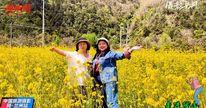大自然的绝美盛宴，陇南油菜花盛开！
