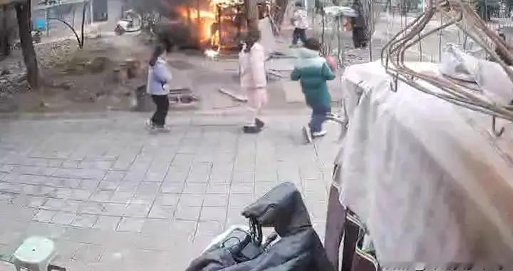 身体里住着恶魔！男孩活活烧死萨摩耶，家长竟蛮横拒绝赔偿