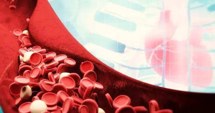 吃走“坏胆固醇”！指南推荐的降脂饮食清单