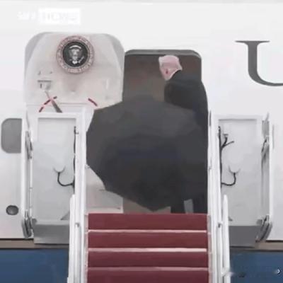 今日芒果P：特朗普拿着伞上到了飞机，由于