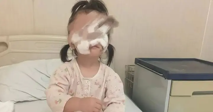 女童被流浪犬咬伤面部，事发20天涉事犬只仍未找到，律师：原饲养人或担责...