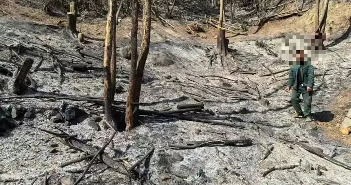 太湖一村民违规用火引发山火被拘留