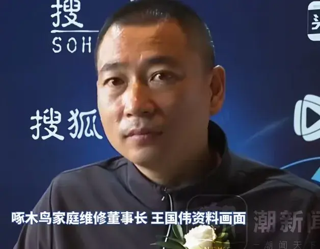 解读啄木鸟三份声明:甩锅是甩不掉了，该罚罚，期待东山再起