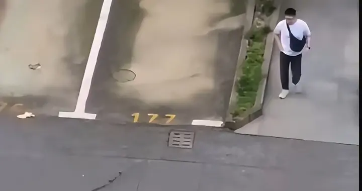 26秒虐心撕咬视频曝光！幼童遭恶犬拖行，男子旁观数秒转身就走