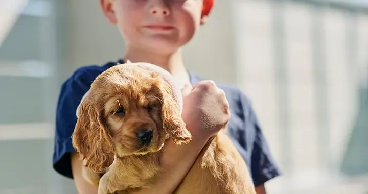 13 岁前养狗，青少年心理问题少 30%！研究佐证：微生物立大功