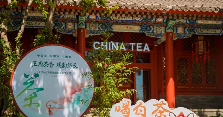 五一赴京寻茶 白大师开启沉浸式喝茶新体验