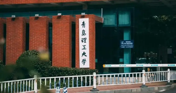 青岛理工大学2025年录取分数线汇总，电气工程在各省分数线较高