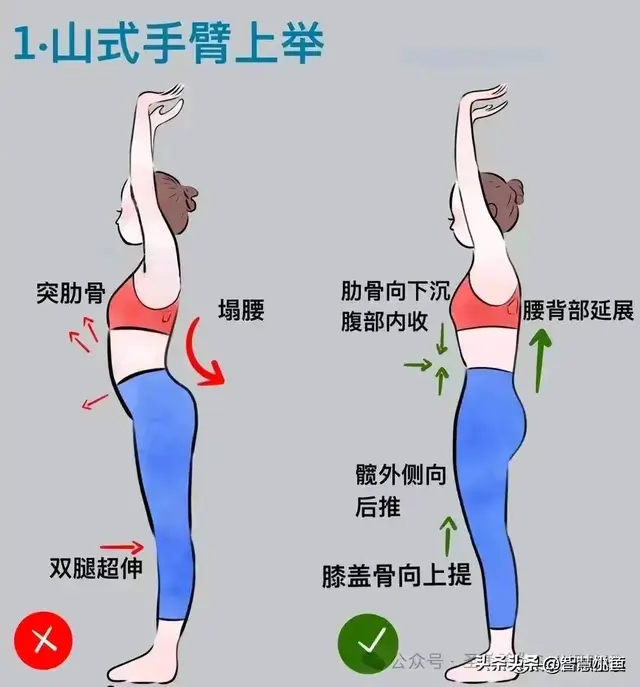 31个瑜伽体式发力走向精准正位图集！