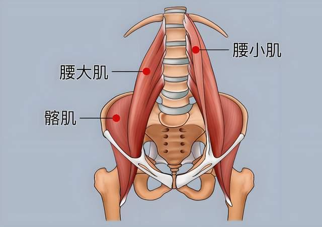 八段锦心得：腰不好能练八段锦或站桩吗？练了能缓解吗？