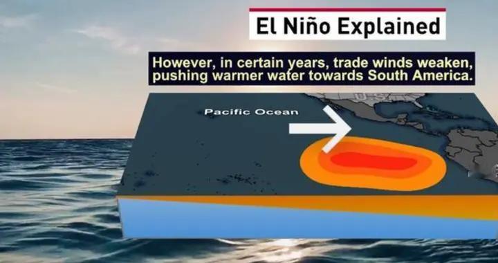 极端天气冲击粮仓！中国主粮为啥不用慌？但明年才是真考验