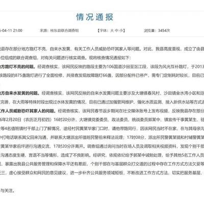 志哥点评：热心村民反馈路灯不亮问题，结果