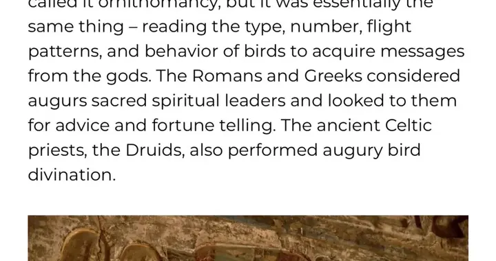 英语高级词汇：auspicious