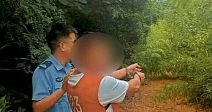 价值75000元！江苏两男子声诱抓捕15只，养腻放生后依旧被判坐牢
