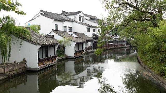 山野村夫：今年春天最想实现的心愿 今年春