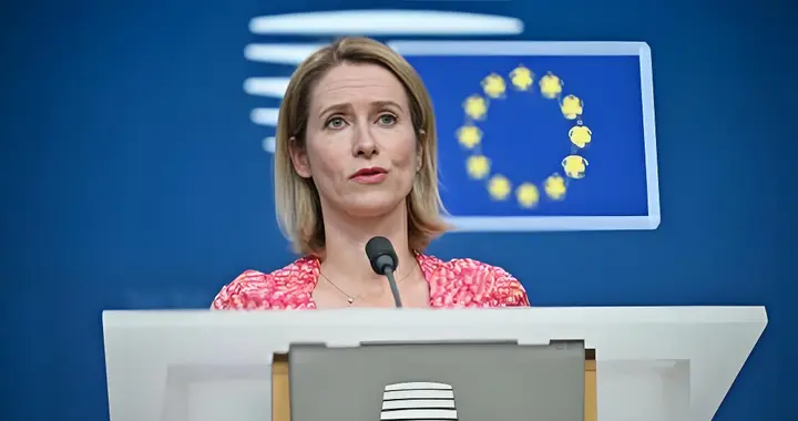 8年没来中国，欧议会访华团人还未到，先给我国来了个下马威