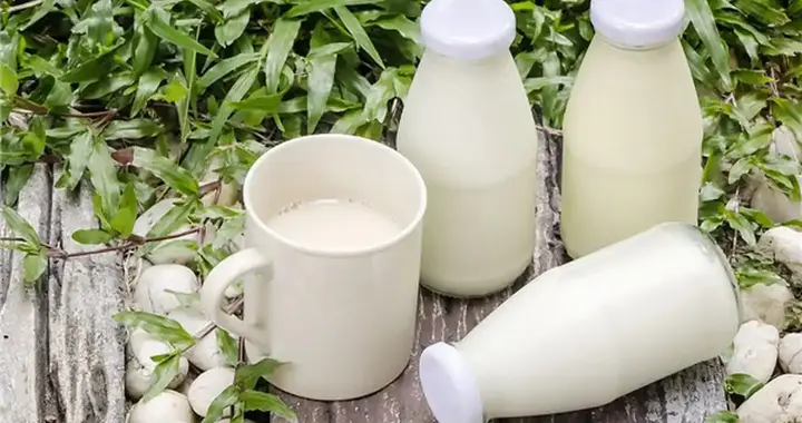 牛奶再次受到关注！医生发现：高血脂患者喝牛奶时，多注意这6点