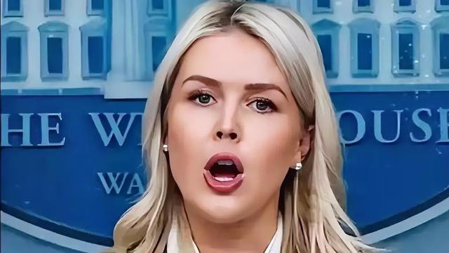 扫雪的邻居：白宫消息，4月11日，白宫传