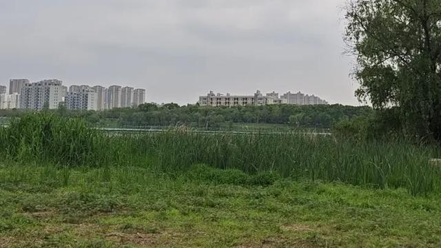 汪医生谈心：最近一个月，每周至少有三天1