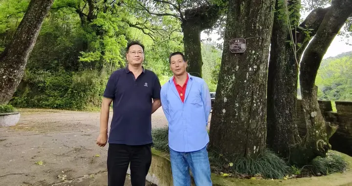 今天我终于领教什么是婺源人？