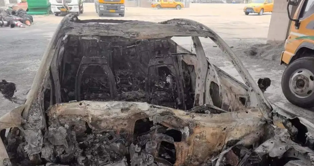 暴增305%！国产新能源巨头突然爆火