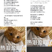 表达能力差？不存在的！🙅看了赵牧辰在荣耀直播间读粉丝用AI写的信，我...