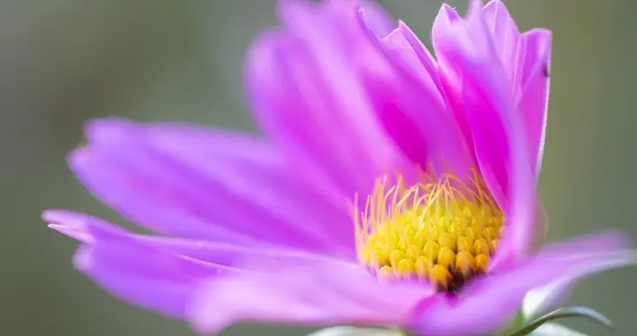 退休五年，我在这里找到的幸福答案：生活是自己的，谁也替代不了