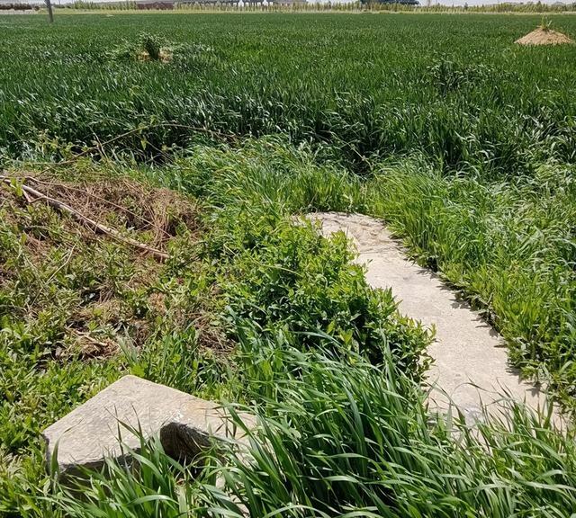 参观大明西厂提督太监汪直墓，权倾朝野制造冤狱居然在长葛得善终